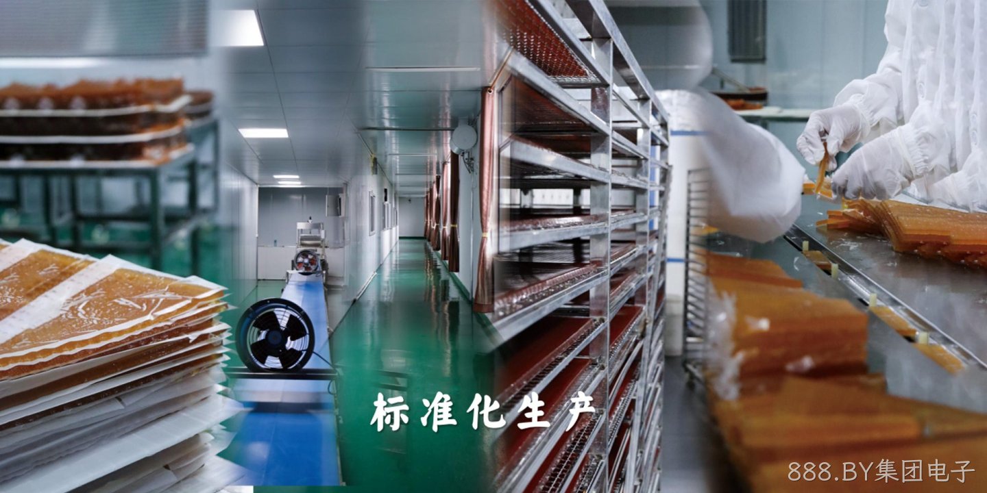 888.BY集团电子绿色食品（大石桥）有限公司
